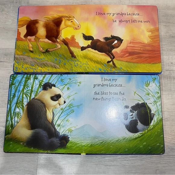 Lot of 2 Kids Books “Why I Love…” Grandparents by Daniel Howarth - Picture 7 of 13